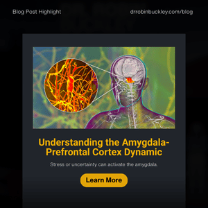 Blog 64 how to avoid the amygdala hijack_ harnessing executive coaching for optimal functioning in leaders